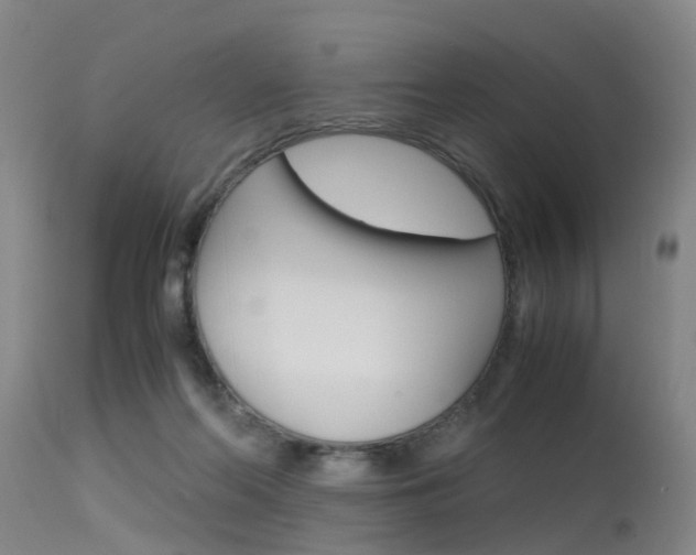 X0000115720214200911121111