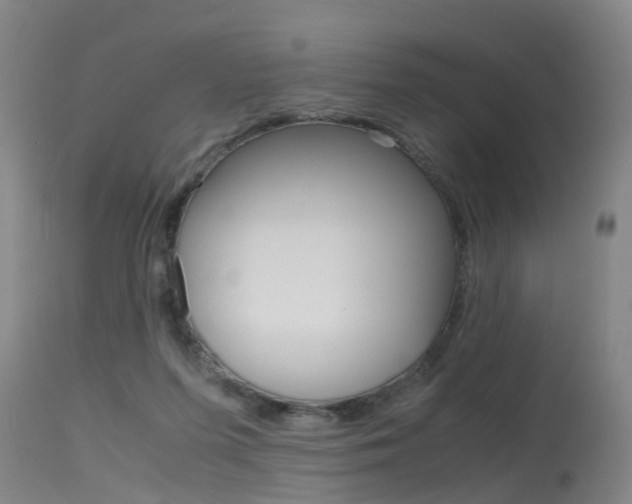 X0000115720215200911121111
