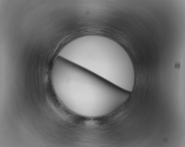 X0000115720216200911121111