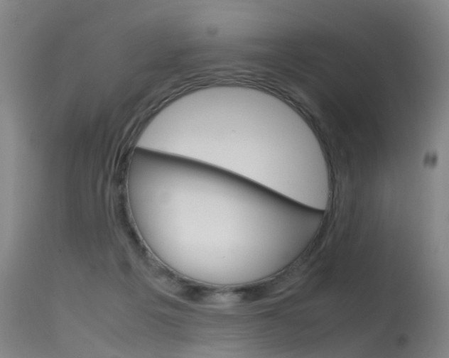 X0000115720217200911121111