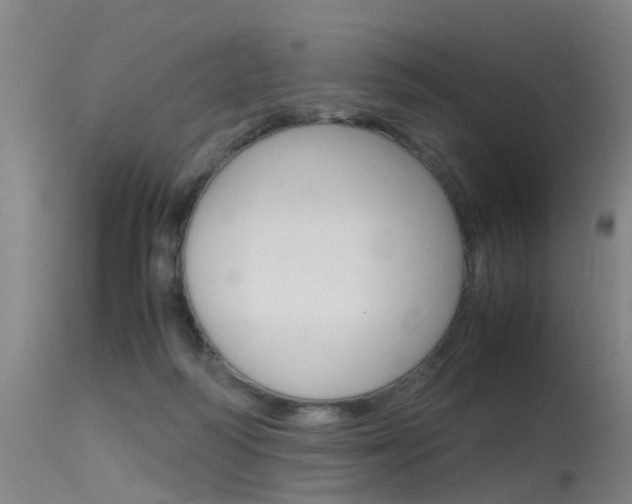 X0000115720218200911121111