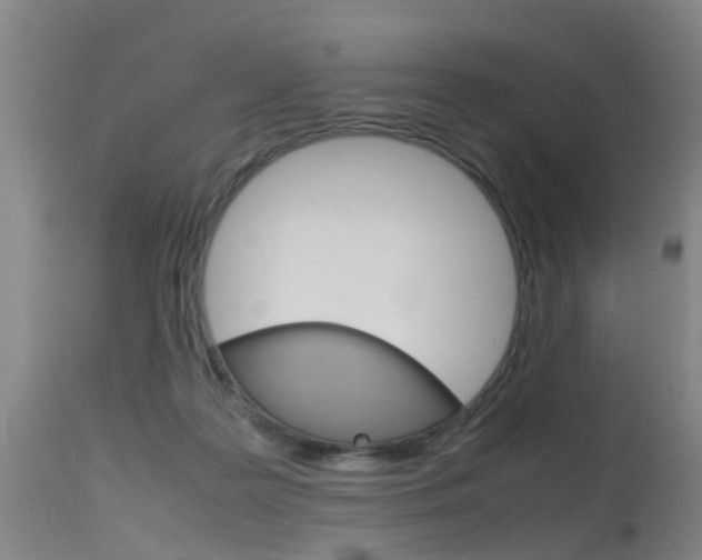 X0000115720219200911121111