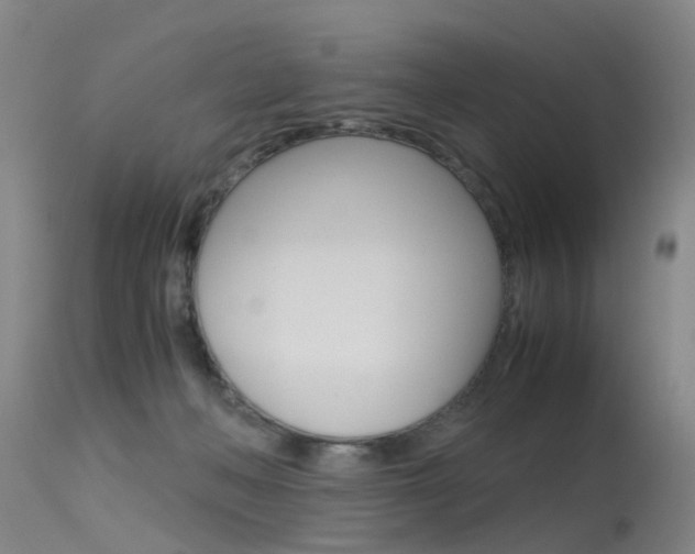 X0000115720222200911121111