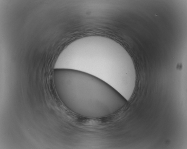 X0000115720223200911121111