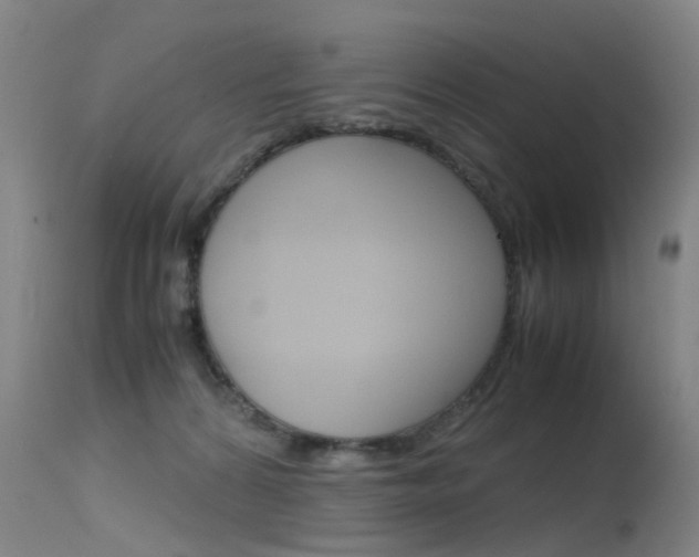 X0000115720224200911121111