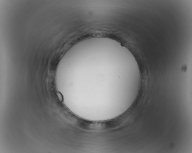 X0000115720225200911121111