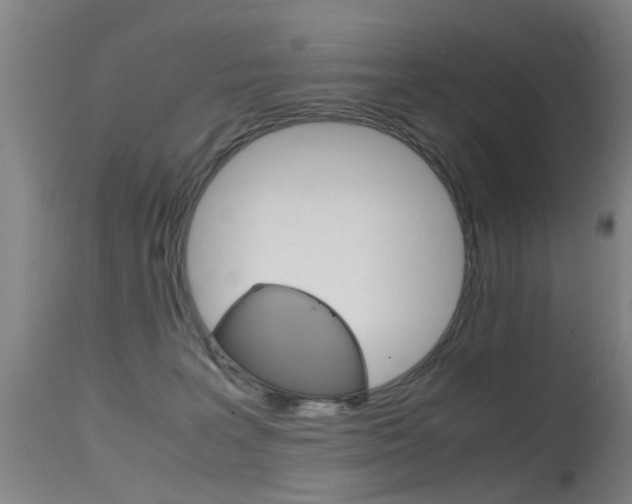 X0000115720227200911121111