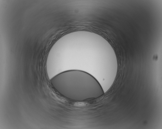 X0000115720231200911121110