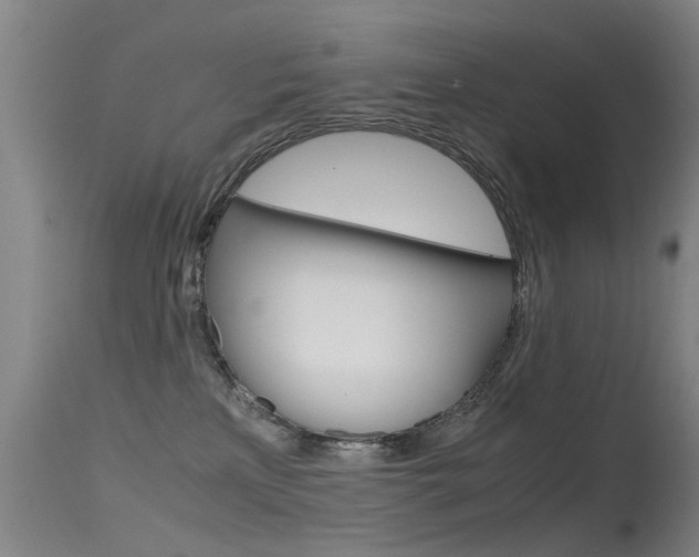 X0000115720233200911121110