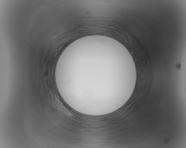 X0000115720235200911121110