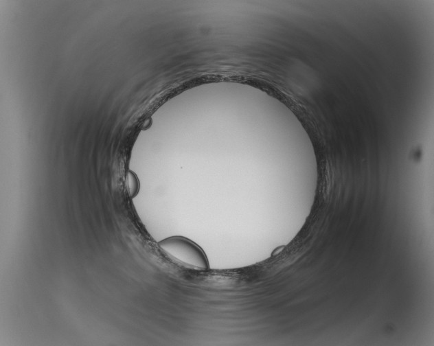 X0000115720236200911121110