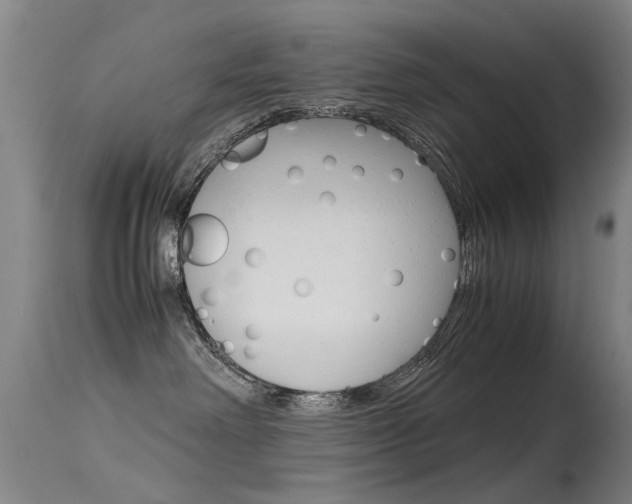 X0000115720238200911121110