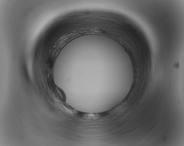 X0000115720239200911121110