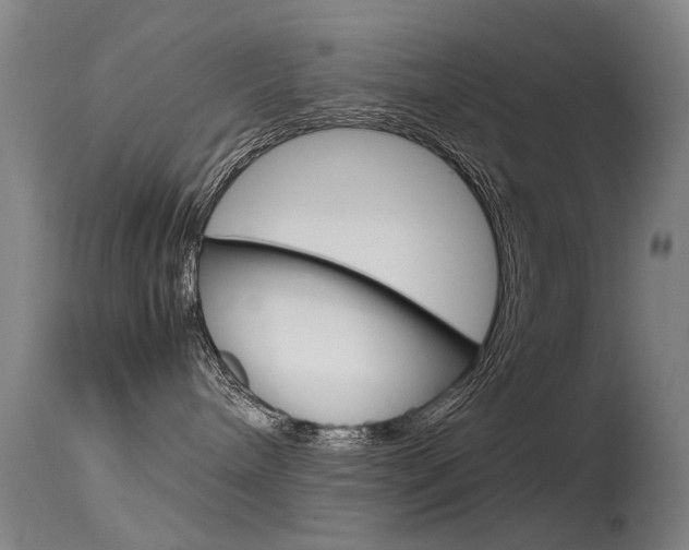 X0000115720240200911121110