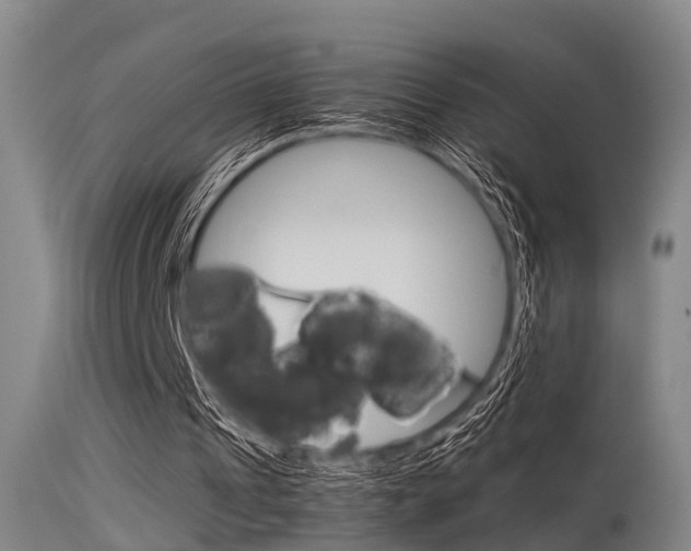 X0000115720241200911121110