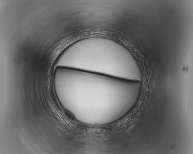X0000115720242200911121110
