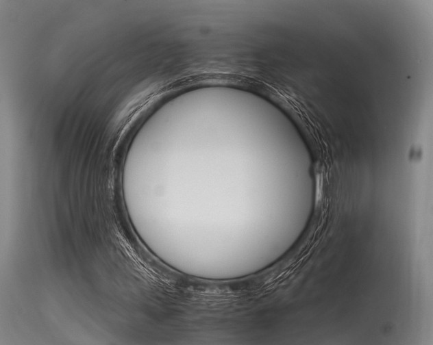 X0000115720243200911121110