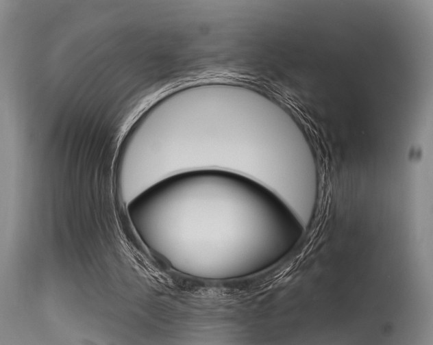 X0000115720244200911121110