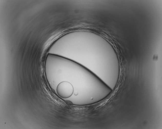 X0000115720245200911121110