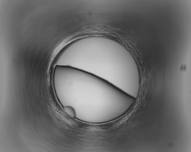 X0000115720246200911121110