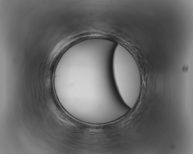 X0000115720247200911121110