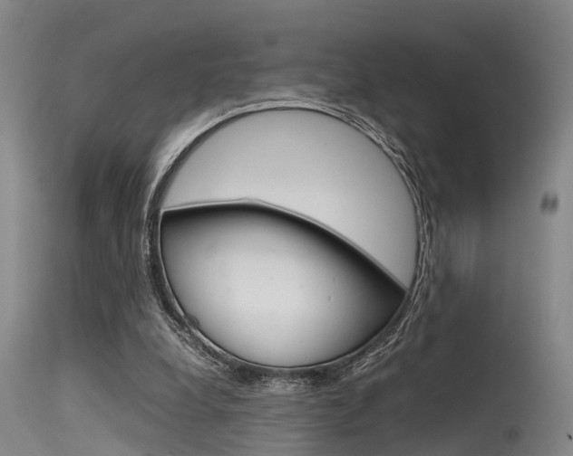 X0000115720248200911121110