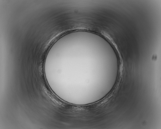 X0000115720249200911121110