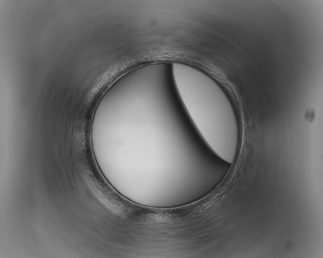 X0000115720250200911121110