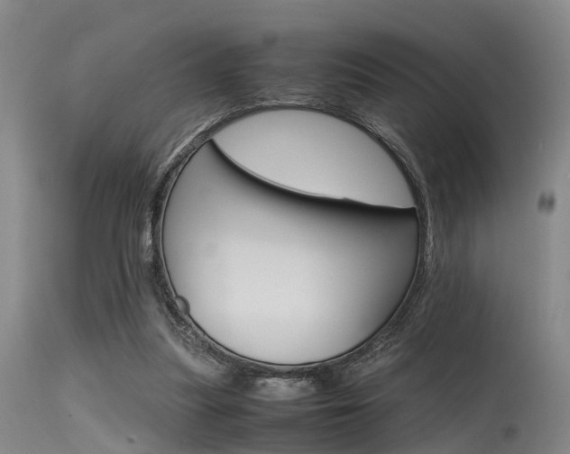 X0000115720251200911121110