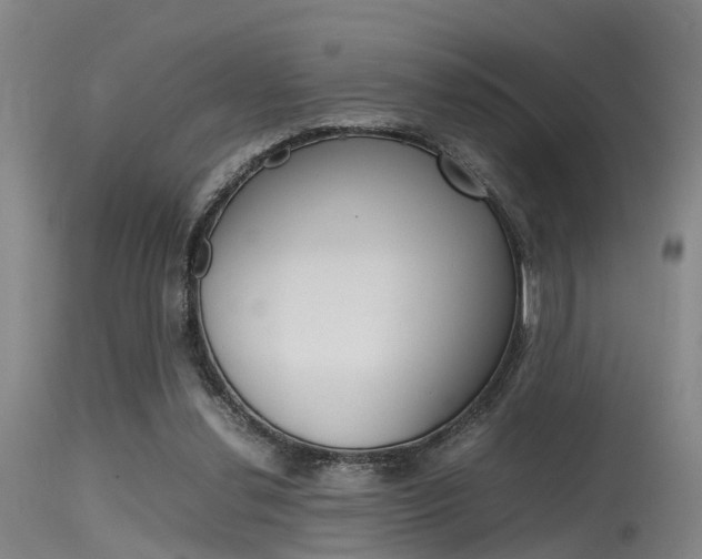 X0000115720252200911121110