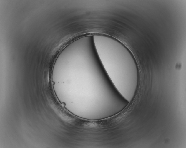 X0000115720253200911121110