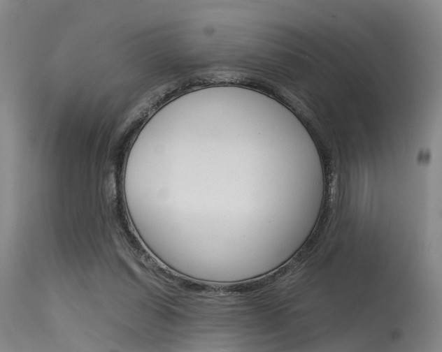 X0000115720254200911121110
