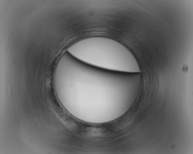X0000115720255200911121110
