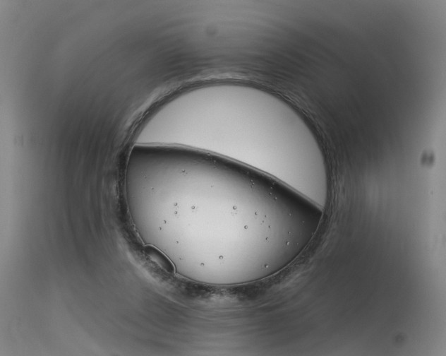 X0000115720256200911121110