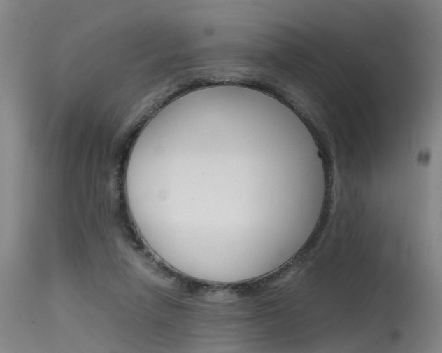 X0000115720258200911121110