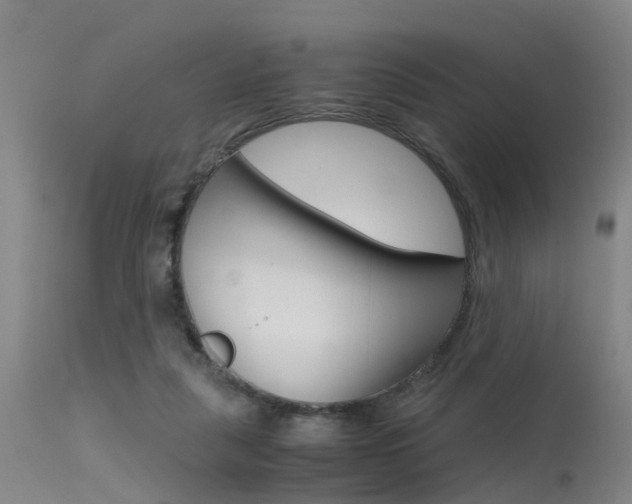 X0000115720259200911121110