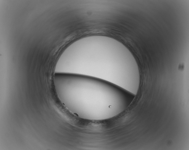 X0000115720260200911121110