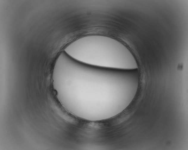 X0000115720261200911121110