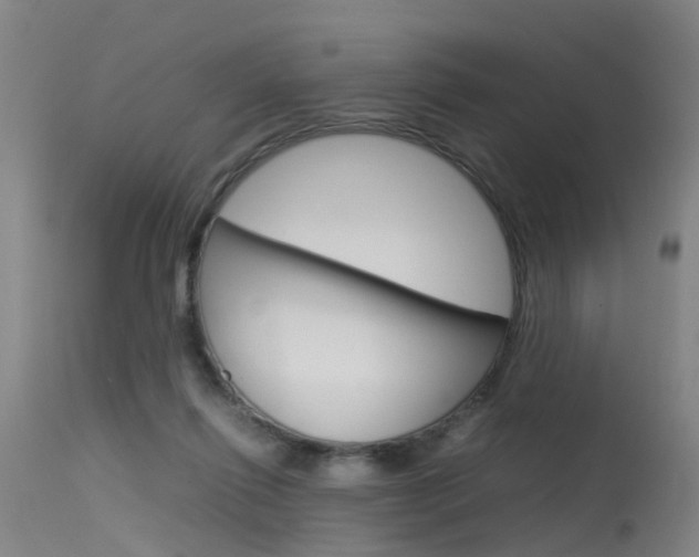 X0000115720262200911121110
