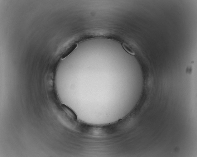 X0000115720264200911121110
