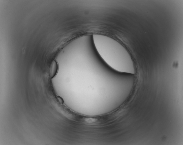 X0000115720265200911121110