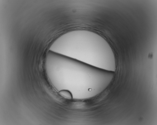 X0000115720266200911121110
