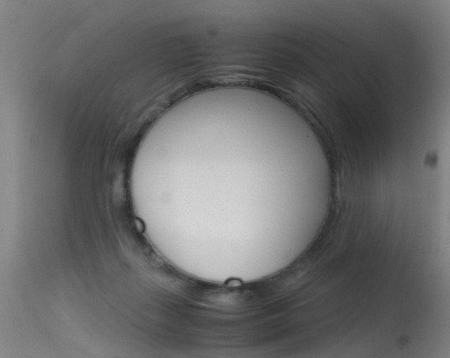 X0000115720267200911121110