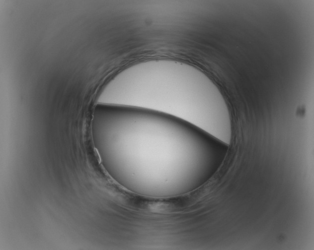 X0000115720268200911121110