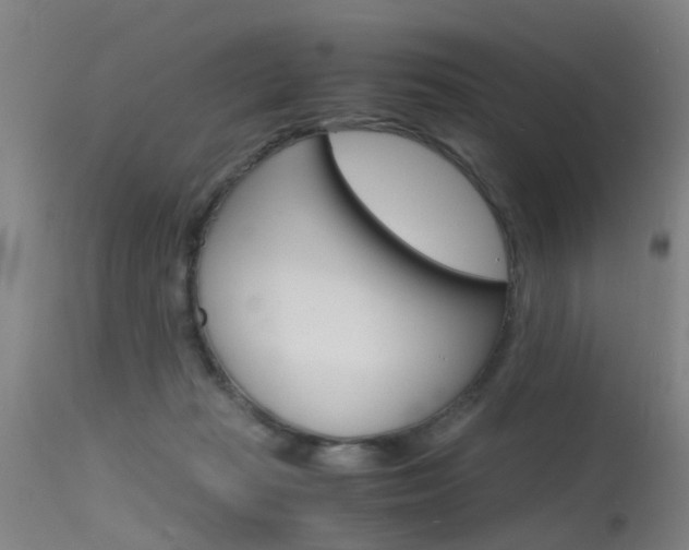 X0000115720269200911121110