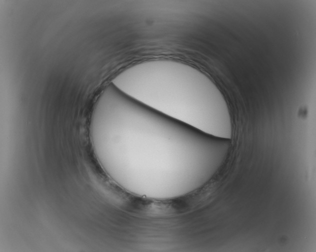 X0000115720270200911121110