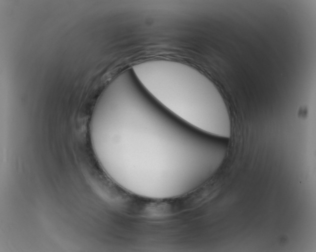 X0000115720271200911121110