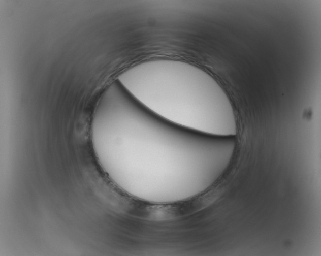 X0000115720273200911121110