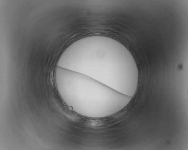 X0000115720275200911121110