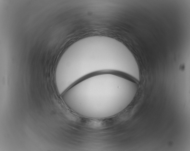 X0000115720276200911121110